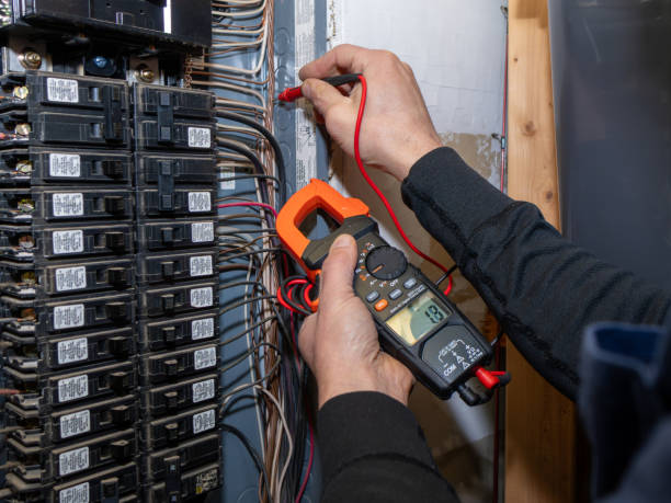 Best Ceiling Fan Installation Electrician  in Indian Harbour Beach, FL